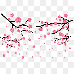 矢量水彩插画腊梅花朵
