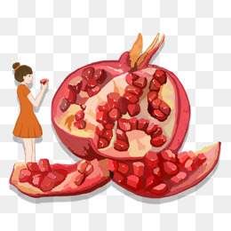 手绘插画吃石榴的女孩