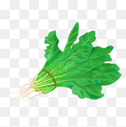 卡通绿色植物叶子