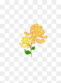 卡通水墨黄菊花免扣图