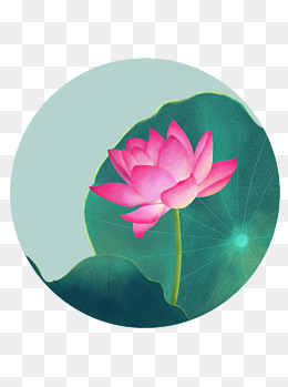 手绘荷花中国风插画元素