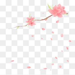粉嘟嘟的桃花插图