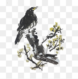 水墨风喜鹊梅花手绘插画