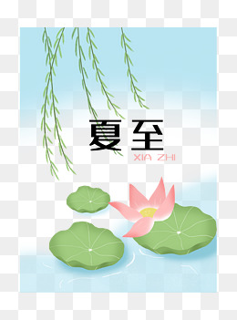 二十四节气夏至柳树荷花夏天
