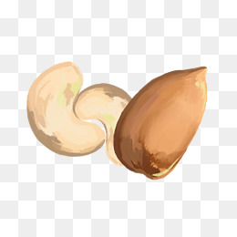 坚果食品腰果插画