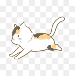 一只奔跑着的三花猫