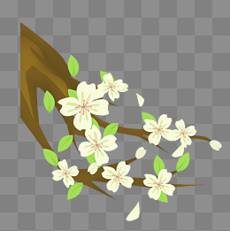 卡通春天的梨花插画