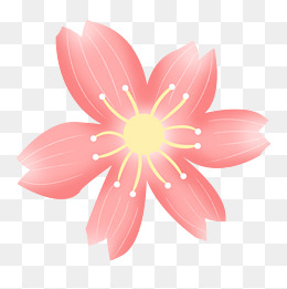 樱花粉色花桃花红色