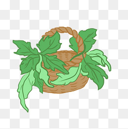 端午节艾草叶子插画免扣