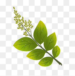 绿色卡通植物树叶