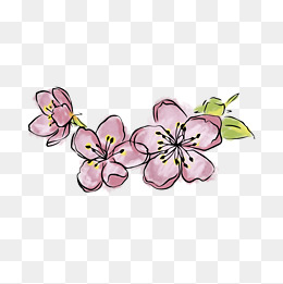 手绘晕染一朵樱花