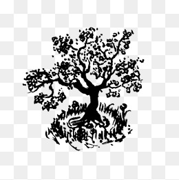 黑白植物装饰画