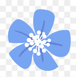 五朵小花