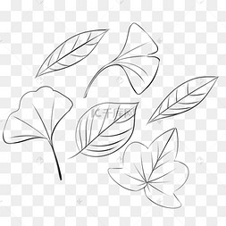 树叶简笔画