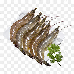 一盘鲜虾