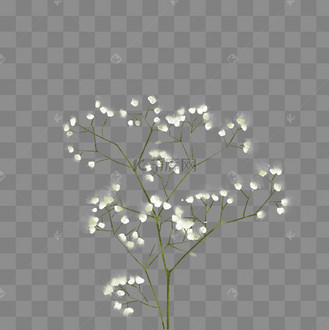 手绘花满天星装饰元素