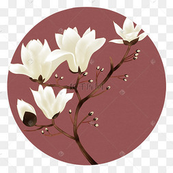 女孩右古风工笔插画装饰画植物花卉合集中国风水墨画梅兰竹菊熊猫