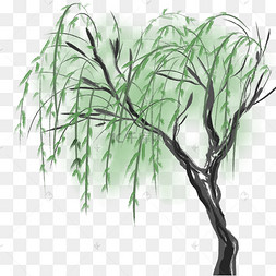 柳树水墨水彩装饰插画柳树