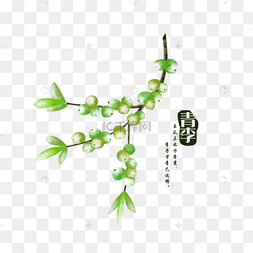水彩绿色李子手绘装饰