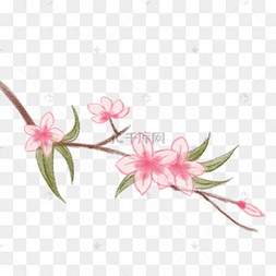 手绘桃花花枝图形