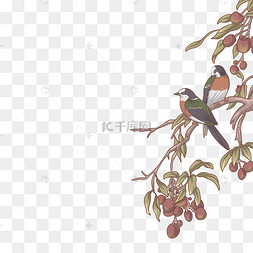 古风枣树红枣喜鹊插画