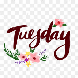 tuesday 星期二 字体设计艺术字设计图片-千库网