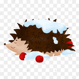 冬眠的刺猬