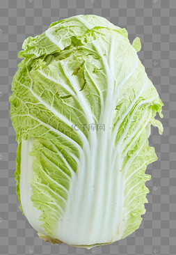 大白菜