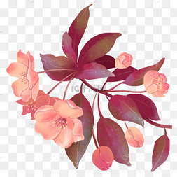 海棠花