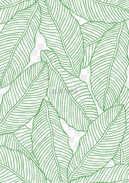 芭蕉叶线描底纹纹理