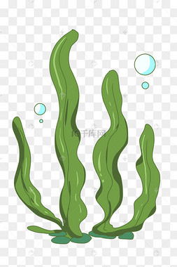 绿色海带卡通插画