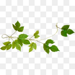 图片素材免费素材库 2556cea18058596.jpg