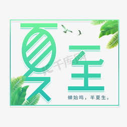 夏至清新卡通创意艺术字