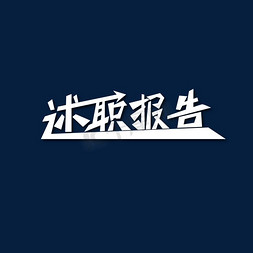 述职报告 商务