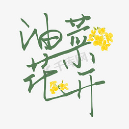 油菜花开季节