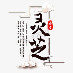 美容养生茶免抠艺术字图片_灵芝养生字体设计