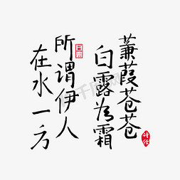 白露诗经蒹葭手写毛笔字