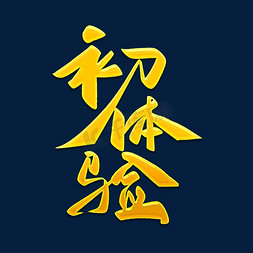 初体验毛笔字