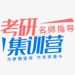 考研集训营名师指导