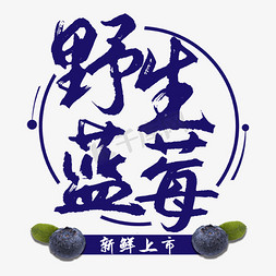 实物图免抠艺术字图片_野生蓝莓水果艺术字