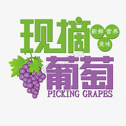 紫色葡萄免抠艺术字图片_现摘葡萄新鲜营养美味紫色葡萄