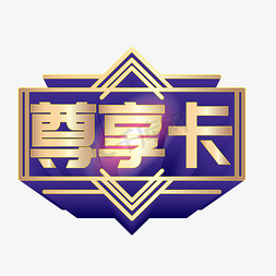 尊享卡立体字