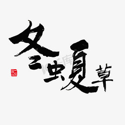 健康养生冬虫夏草黑色毛笔字