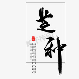 黑色芒种书法字体设计