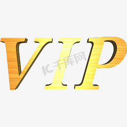 金色 立体VIP