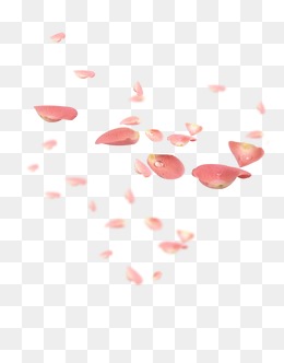飘落的花瓣素材图片免费下载_高清漂浮素材png_千库网