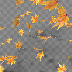 植物树影图片_3D立体秋日场景