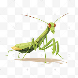 卡通手绘昆虫图片_昆虫螳螂动物