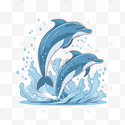 大海海豚动物海洋生物