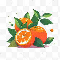橙子水果图片_扁平矢量橙子水果装饰
